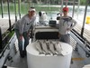 (05/28/2017) - Nice Striped Bass